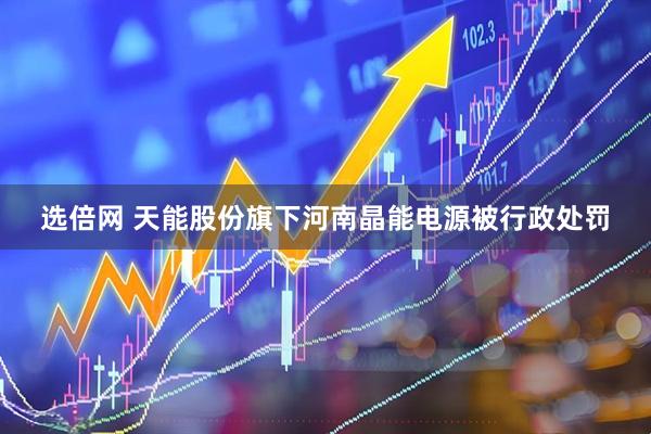 选倍网 天能股份旗下河南晶能电源被行政处罚