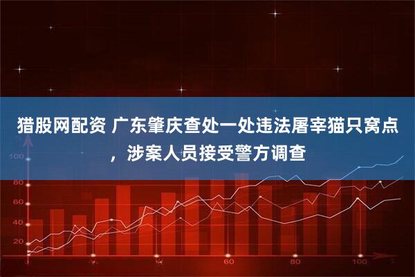 猎股网配资 广东肇庆查处一处违法屠宰猫只窝点，涉案人员接受警方调查